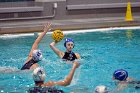 WWPolo vs CC  Wheaton College Women’s Water Polo vs Connecticut College. - Photo By: KEITH NORDSTROM : Wheaton, water polo